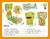 Import 2 in1Children Role-playing kitchen toys Portable or backpack frog design from China