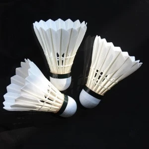 2018 New Quality Indoor Sports Badminton Shuttlecock