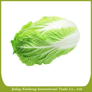 2019 new crop fresh chinese celery cabbage