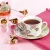 Import 2020 European 12 Pcs Classic Porcelain Coffee Ceramic Tea Saucer Cup Set Drinkware from China