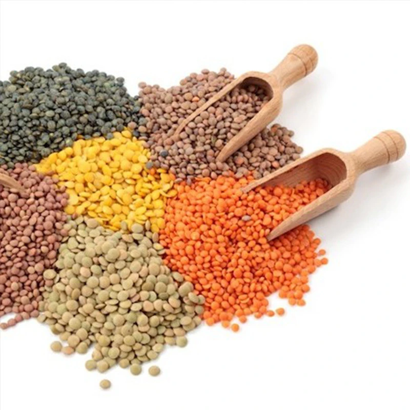 2020 Harvest Best Price High Quality Export Red Lentils Green Lentils Yellow Lentils