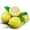 2020 Lemon Yellow Wholesale Natrual Lemon Fresh Fruit Suppliers