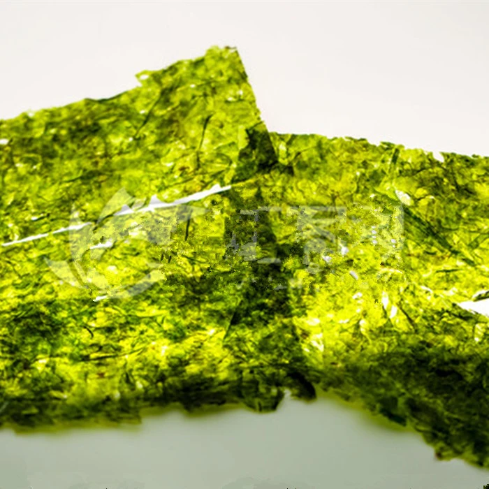 2021 Roasted Seaweed Algae Sushi Nori