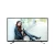Import 2022 AMAZ fashion elegant full HD full flat screen 43 inch frameless home use smart android tv from China