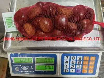 2023 New Crop of Fresh Dandong Chestnut Price Per Kg Packing in Plastic Basket From Chestnuts Factory