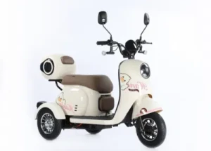 2024 New Cheap Tricycle Electric Motorcycle for Sale