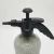 Import 2L Plastic Spray Bottle Trigger Sprayer Hand Pressure Plastic Water Spray Bottle from China