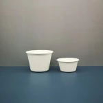 2oz 5 oz Compostable Bagasse Sauce Cup with Lid