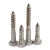 Import 304 410 Stainless Steel Self Tapping Wood Screws Hex Head Lag Screw from China