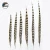 Import 32-36 Inch(80-90 cm)Chinese Top Manufacturer Best Selling Cheap Large Natural Reeves Pheasant Tail Feathers from China