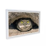 32" Wall Mounted Wifi 3G Android Internet Lcd Advertising Display Player 1920*1080 Ad Display Smart LCD TV Cheaper price