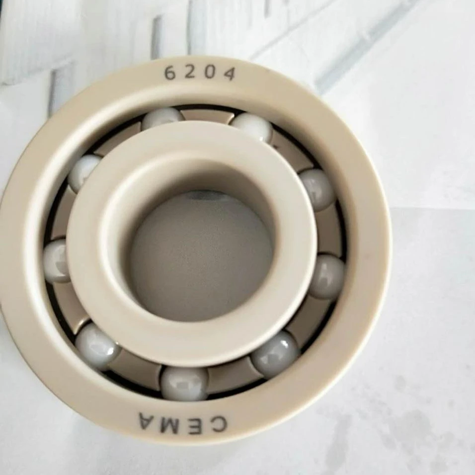6000 SiC Ceramic Bearing of Chinese Manufactory