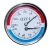 Import 63mm Thermomanometer Temperature and Pressure Gauge up to 120 C and 6 Bar Rear from China