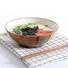 8 inch Japanese ceramic noodle bowl Glazed fruit salad bowl Hand-painted design ceramic soup bowl