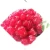 Import Acai cheap yummy cherry dried fruit food from China