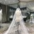 Import Accessaries Elegant Wedding Lace Veils White Western Edge Anti Technics Long Layer Style Color shiny tulle with sliver lace from China