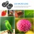 Import AIPAXAL Universal Clip-on HD 4K 37mm 15X Macro Optical Lens For Mobile Phone Camera Lens from China