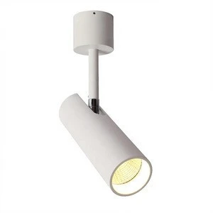 Aisilan LED spotlight for Picture Display Home Hotel Office Shop Modern Indoor Adjustable LED Single Ceiling Spotlight