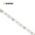 Import  best seller ul cul listed flexible addressable 24v 120 leds/m 5050 rgbw led strip from China