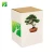Import Amazon cheap hot sale real ornamental plants naturally grow chinese bonsai tree kit from China