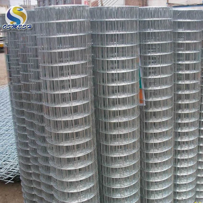 Anping stainless steel iron welded wire mesh net