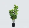 artificial creepers decorative plants natural plants bonsai plant