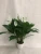 Import Artificial peace lily plant peace lily flower white flowers from China