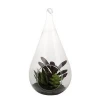 Artificial Succulent  plants wholesale artificial ornamental plants in glass jar pot for Decoration