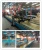 Import Automatic conveyor line for motorcycle and tricycle from China