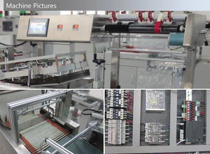 Automatic Shrink Packing Machine Shrink Packaging Machine