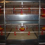 automatic water drinker for chicken drinking animal cup bird poultry nipples