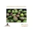 Import AVOCADO FRESH / Aguacate / PALTA HASS ,Fresh Fruit &amp; Hass Avocados for sale from Peru