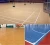 Import Badminton court and tennis mat indoor/outdoor pvc flooring padel court from China