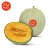 Import Best Price Fresh Melon caribbean sweet For Market Sale from Indonesia