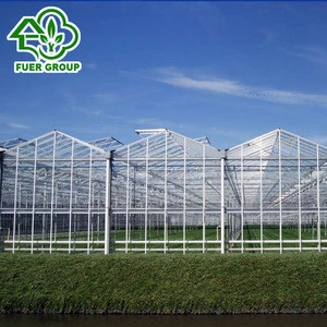 Best products plastic tomato greenhouses for sale