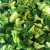 Import Best selling from China IQF frozen broccoli from China