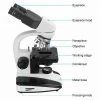 (BM-136C)40X~1600X Laboratory Binocular Biological Microscope for Education and Research