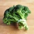 Import Brazil  Top  Bulk frozen broccoli with reasonable price from Brazil
