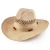 Import Bulk cowboy straw hat men style from China