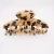 Import Canyuan 10 cm acetate hair claw Simple tortoiseshell large hair claw clips for women from China