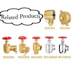 Certificated 2 1/2" angle hose valve male thread outlet fire Hydrant with caps iron handwheel brass valve for fire fighting