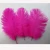 Import Cheap large 6-8 inches/15-20 cm ostrich feathers for wedding centerpieces for party/wedding decoration from China