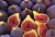 Import Cheap Price Fresh/dried Figs Fruits from Philippines