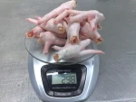 Chicken Feet / Chicken Paws | Poland