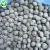Import China Export Wholesale IQF Frozen Blueberry Fruit from China