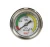 Import china Factory manufacture various  SF6 gas pressure gauge gas analyzers from China