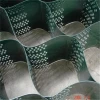 China Texured Perforated Plastic HDPE Geocell supply with sincere Factory price