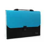 Chinese supplier factory A4/Letter size 13 pockets expandable carrying case with handle