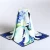 Import Chinese Supplier Women Silk Scarf Ladies Fashion Printing Scarves from China