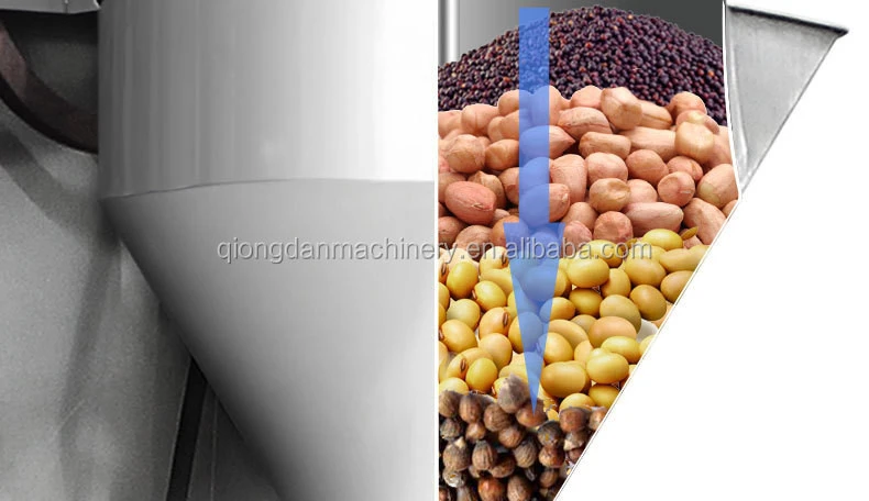 cold press cannabis oil extraction machine sesame soybean sunflower olive oil press machine Peanut Palm Seed oil press machine
